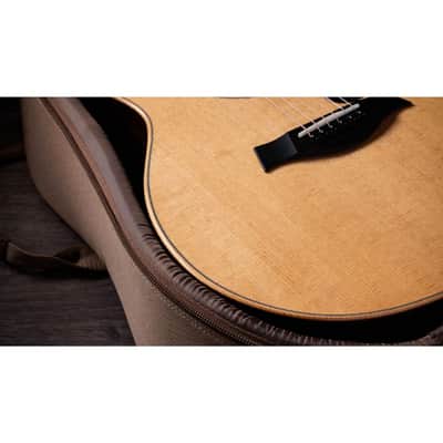 Taylor 314ce Studio Special Edition - Natural image 5