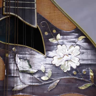 Vintage Dofra ? Western Germany bowl back Mandolin with Hard Case image 6