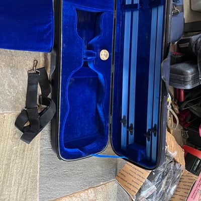 violin case. Full size image 1
