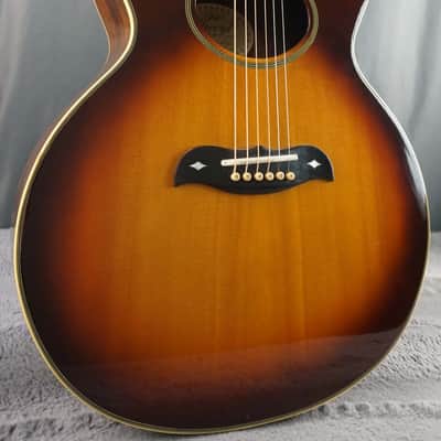 Aria Elecord FE-60 w/ Built-In Electronics w/ Hard Case image 1