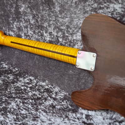 GB Liuteria Traditional Tele rust image 17
