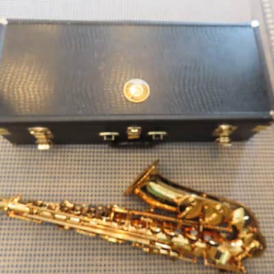 CANNONBALL SCEPTYR ALTO SAXOPHONE-STUNNING -FRESH PRO OVERHAUL, MUST SEE+ 1 Yr WTY image 4