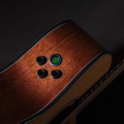 Cort All Solid Woods Gold Series A6 Auditorium w/ Fishman Flex Blend Electronics, Case image 13