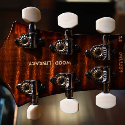 PRS Wood Library DGT 10-Top Ebony - Copperhead Cherry Burst #2554 image 15