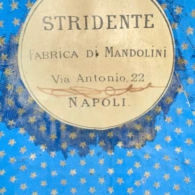Stridente Neapolitan Mandolin Decorated Curved Ribs 1900's image 17