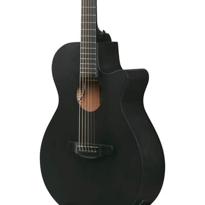 Ibanez AEG Series AEG621 Acoustic Electric Guitar, Black Out image 6