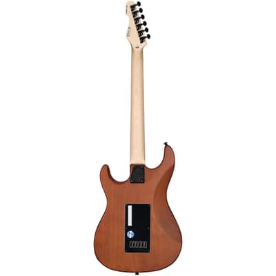 ESP LTD SN-1000 EverTune Electric Guitar, Koa Natural Satin image 4