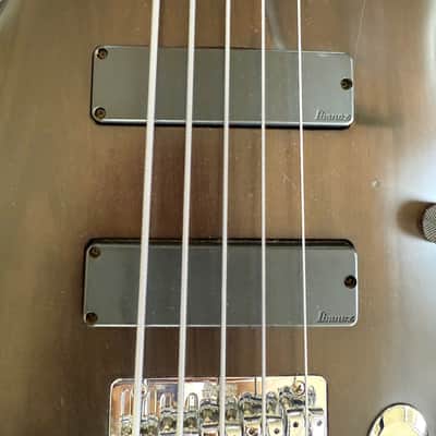 Ibanez EDB405 Ergodyne 5-String Bass Transparent Flat Black Stain image 8