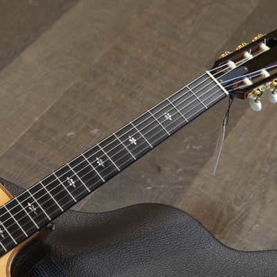 Unplayed! 2016 Taylor 712Ce-N 12 Fret Nylon Lutz Spruce Rosewood Acoustic Guitar Natural + OHSC image 7
