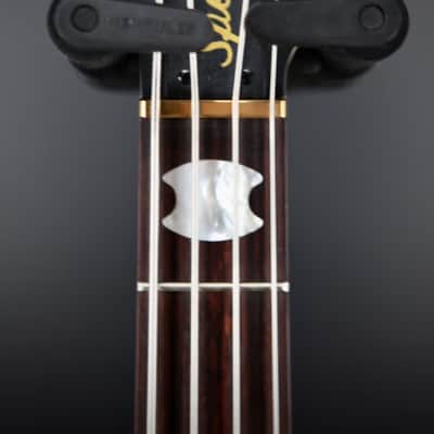 Spector Euro 4 LX - Haunted Moss Matte image 5