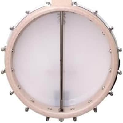 Deering Goodtime Deco 5-String Openback Banjo (D-G) image 2