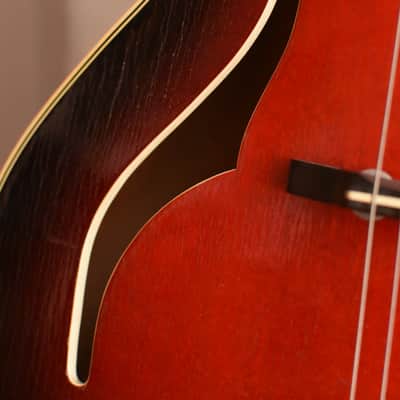 Hopf / Gustav Glassl – 1950s German Vintage Archtop Jazz Guitars / Gitarre image 8