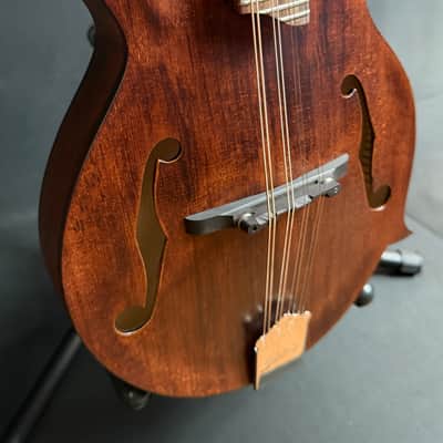 Kentucky KM-606 Standard F-Style Mandolin Walnut Stain w/ Soft Case (687) image 5