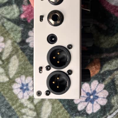 DSM Simplifier Guitar Amp Pedal image 6