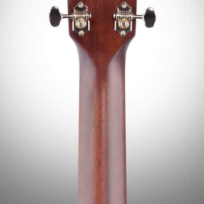 Alvarez MD60EBG Masterworks Acoustic-Electric Guitar (with Gig Bag) image 8