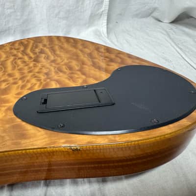 Parker USA FB-5 fb5 Fly 5-string Bass image 19