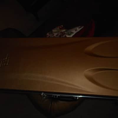 Gibson USA Les Paul HardShell Guitar Case Gold 100th Anniversary Molded SKB Type image 1