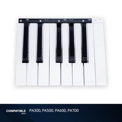 Korg Octave Key Assembly with High C for PA300, PA500, PA600, PA700
