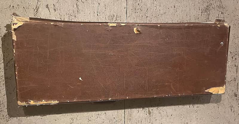 Hagstrom Hardshell case 70s image 1