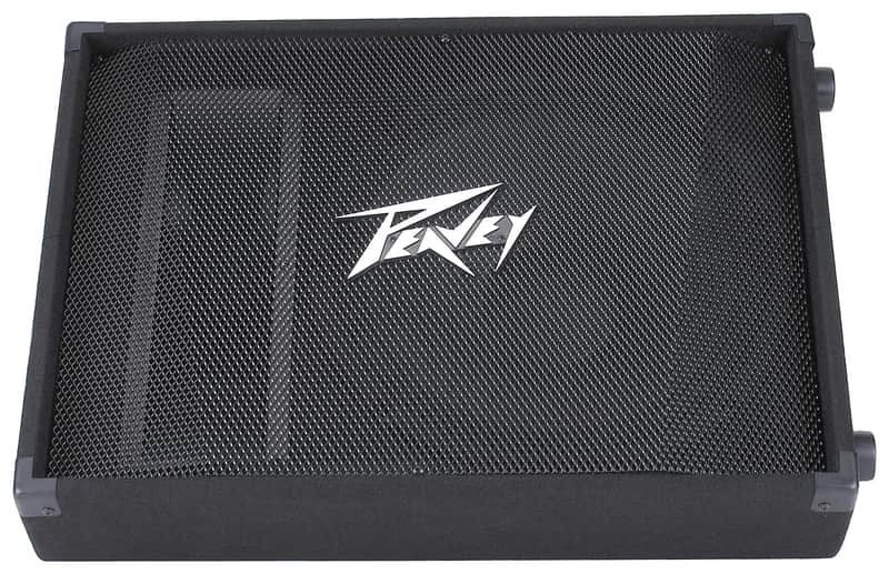 New Peavey PV 15M 15" 2-Way Passive Floor Monitor image 1
