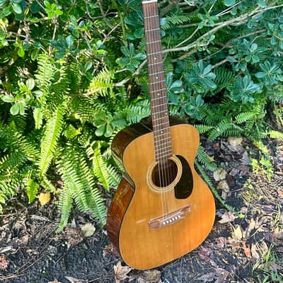 1973 Guild F-20 Troubador image 3