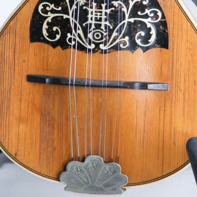 Howe-Orme No. 34 Mandolin 1900 image 9