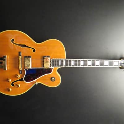 Gibson 1991 L5 Natural image 1
