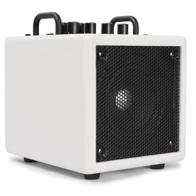 Extremely Portable! Phil Jones X4-C Nanobass Combo Amp White Single channel 35 Watt Multi Instrument Combo Amp, Only 5.3 lbs., Can be powered by Powerbank image 2