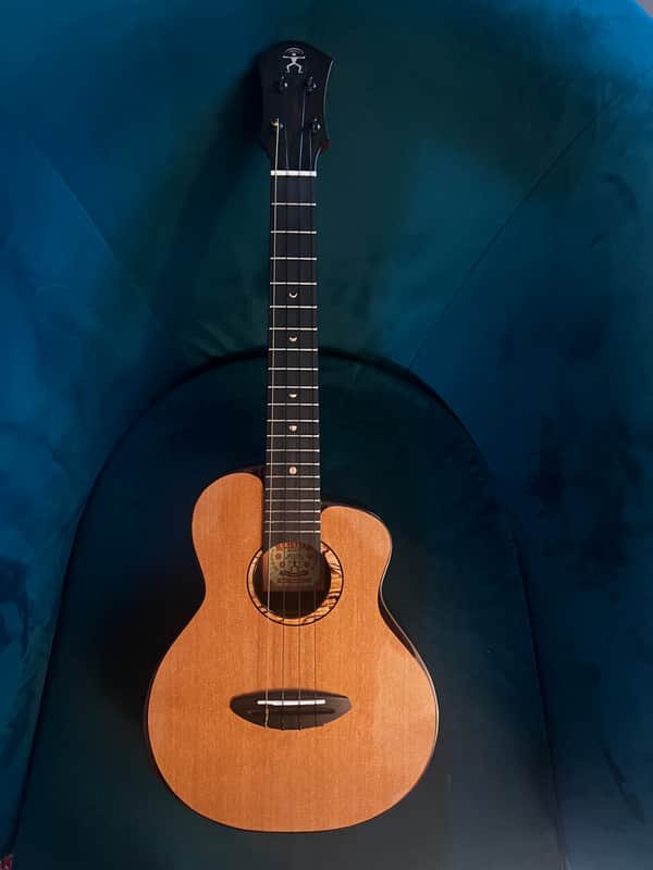 aNueNue UT214 cedar bird all solid cedar & indian rosewood tenor ukulele with pickup image 1