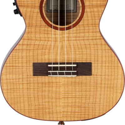 Fender FM-60 -RARE- Electric Mandolin 5 String Sunburst | Reverb