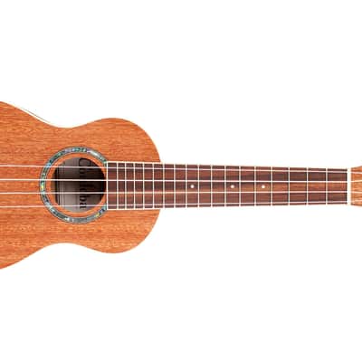 Cordoba 15SM Soprano Ukulele image 2