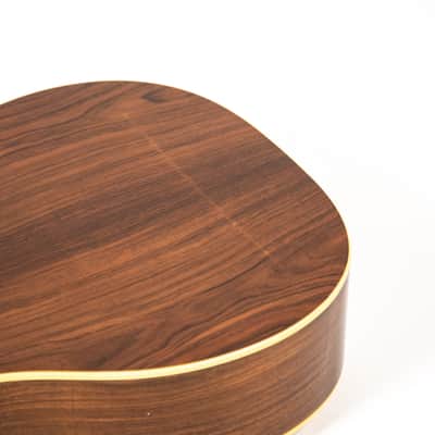 Rockbridge Custom Acoustic Owned by Mike Campbell image 22