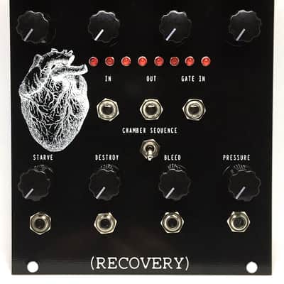 Recovery Effects Bleeding Hearts Eurorack Module Random Sequence Rhythm Generator Glitch Bit Crush image 1