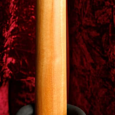 Taylor 214ce Plus Grand Auditorium Acoustic-Electric Guitar image 15