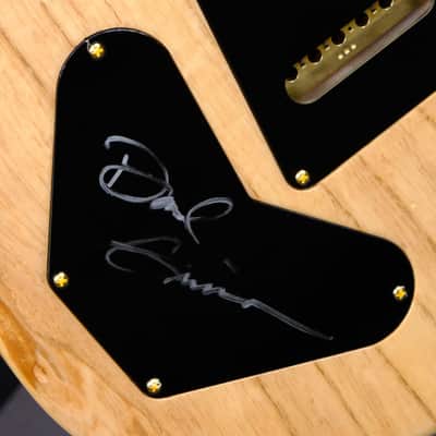 PRS Wood Library DGT Electric Guitar with Bird Inlays - Red Tiger image 10