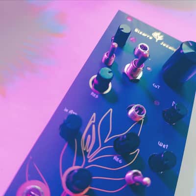 bizarre | jezabel Chloe black gold Vacuum Tube Distortion, Filter,Delay and LPG/VCA image 4