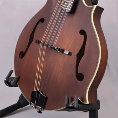 Eastman MD315 F-Style, F-hole Mandolin: Solid Sitka Top, Solid Maple back and sides. image 6