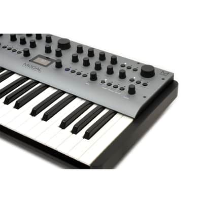 MODAL - SINTETIZADOR CARBON8 (37 KEYS) image 4
