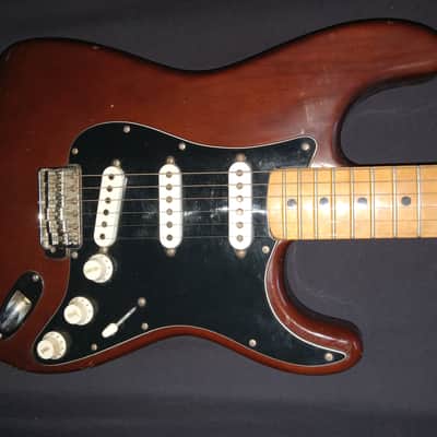 Fender Stratocaster  1976 mocha image 1