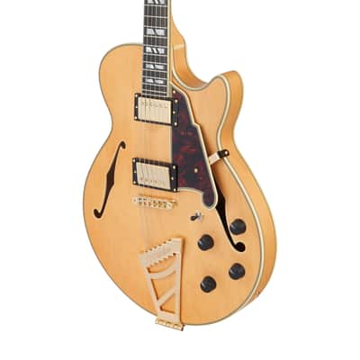 D'Angelico DADSSSHNGT DELUXE SS Single Cutaway Semi-Hollow Body 6-String Electric Guitar w/Deluxe Hardshell Case image 2