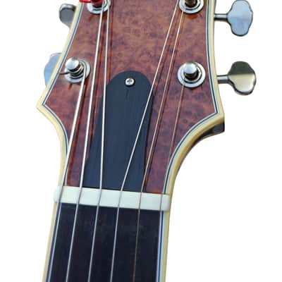 Sabolovic guitars - Luthier Collection – Private Showroom  Sabolovic 17″ Jazz Archtop – Birdseye Maple, Walnut Sides, Gold‑Leaf Pickguard. image 5