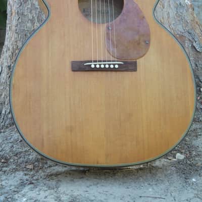 Kay Jumbo converted to X brace 1950s image 2