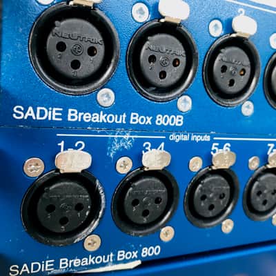 SADIE 5 image 4