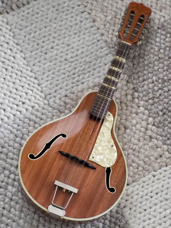 Alte Mandoline Gitarre Guitar Höfner Hofner  545 1950-1960 image 1