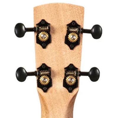 Kala Brand Revelator Night Owl Acacia Tenor Electro Ukulele KA-OWL-ACA-TE image 9
