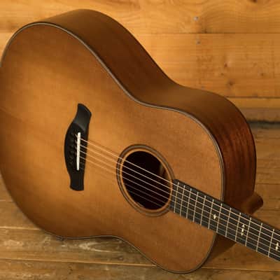 Taylor 500 Series | Builder's Edition 517 - Wild Honey Burst *B-Stock* image 5