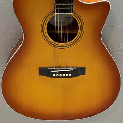 Nashville Guitar Works, NGW Orchestra Acoustic Guitar w/pickup, Brand New and setup to play, gig bag image 2