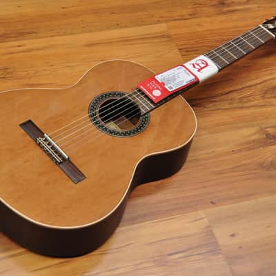 Alhambra 1C Hybrid Terra + softcase image 2
