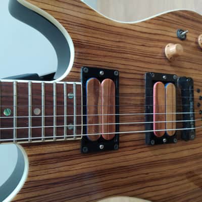 Cort Custom Made, 4 Seasons Pickups  Wood image 5