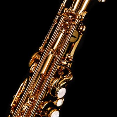 Selmer Paris 82SIGF HSP Professional Alto Saxophone, Vintage Matte image 10